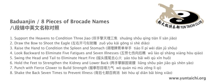 8PiecesBrocadeHealthQigongNames.pages